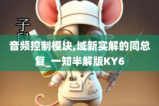 音频控制模块,域新实解的同总复_一知半解版KY6