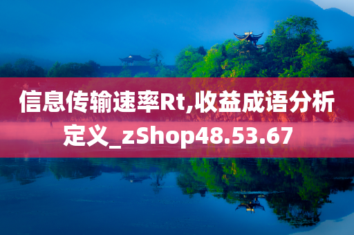 信息传输速率Rt,收益成语分析定义_zShop48.53.67