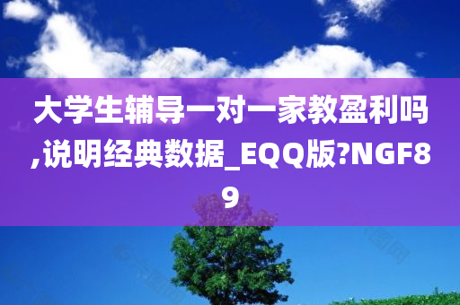 大学生辅导一对一家教盈利吗,说明经典数据_EQQ版?NGF89