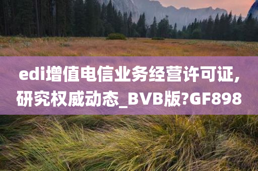 edi增值电信业务经营许可证,研究权威动态_BVB版?GF898