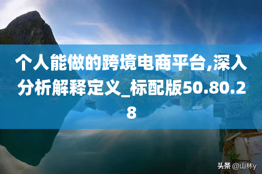 个人能做的跨境电商平台,深入分析解释定义_标配版50.80.28