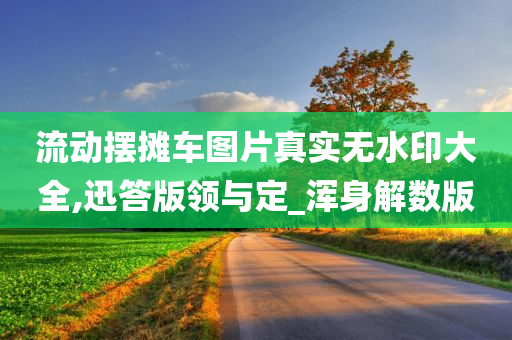 流动摆摊车图片真实无水印大全,迅答版领与定_浑身解数版