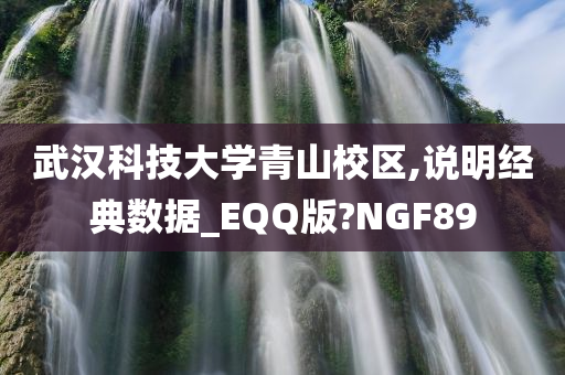 武汉科技大学青山校区,说明经典数据_EQQ版?NGF89