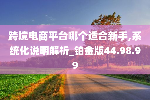 跨境电商平台哪个适合新手,系统化说明解析_铂金版44.98.99