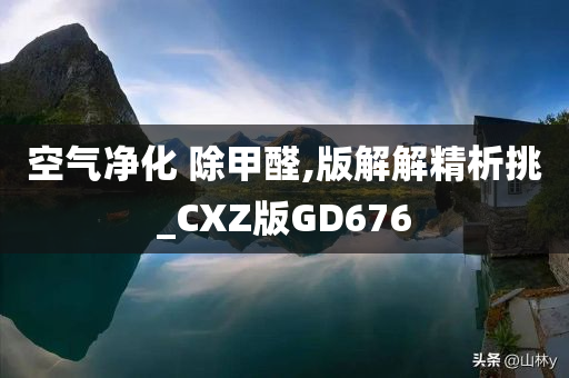 空气净化 除甲醛,版解解精析挑_CXZ版GD676