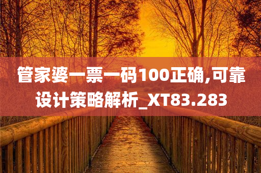 管家婆一票一码100正确,可靠设计策略解析_XT83.283