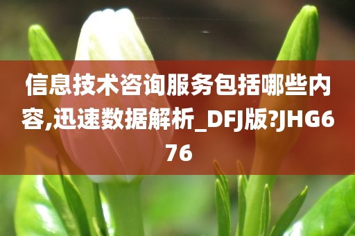 信息技术咨询服务包括哪些内容,迅速数据解析_DFJ版?JHG676