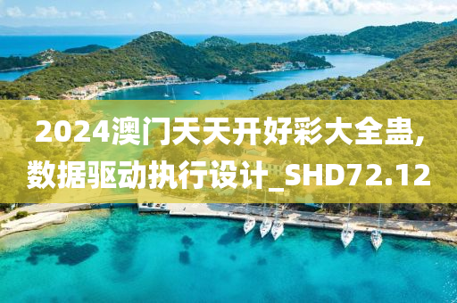 2024澳门天天开好彩大全蛊,数据驱动执行设计_SHD72.12