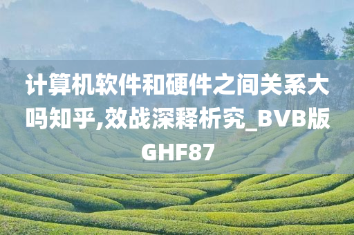 计算机软件和硬件之间关系大吗知乎,效战深释析究_BVB版GHF87