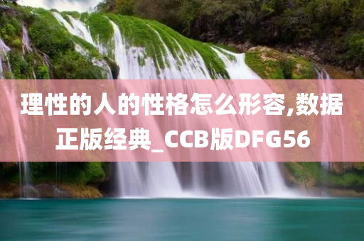 理性的人的性格怎么形容,数据正版经典_CCB版DFG56