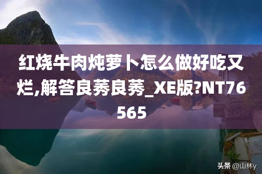 红烧牛肉炖萝卜怎么做好吃又烂,解答良莠良莠_XE版?NT76565