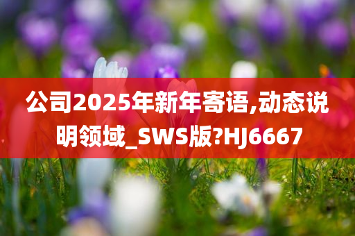 公司2025年新年寄语,动态说明领域_SWS版?HJ6667