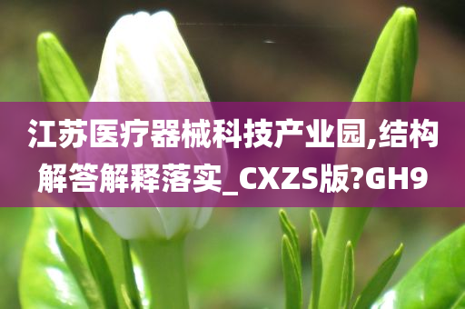 江苏医疗器械科技产业园,结构解答解释落实_CXZS版?GH9