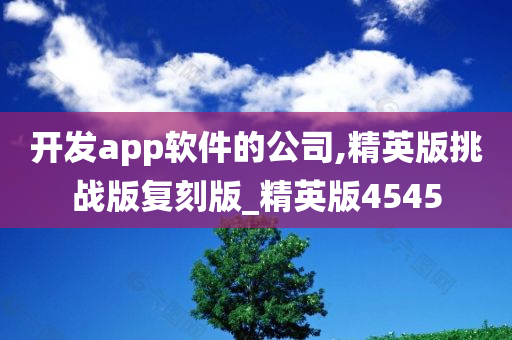 开发app软件的公司,精英版挑战版复刻版_精英版4545