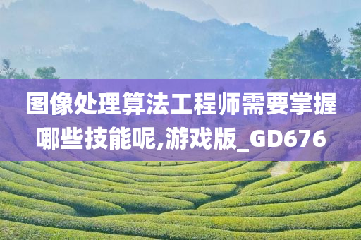 图像处理算法工程师需要掌握哪些技能呢,游戏版_GD676