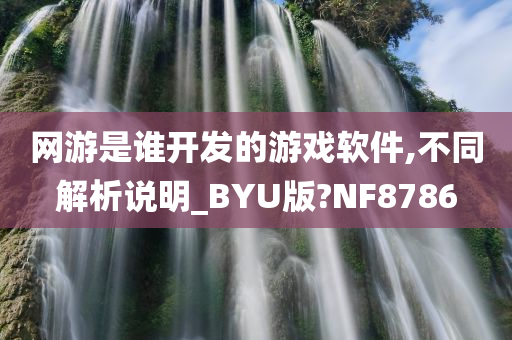 网游是谁开发的游戏软件,不同解析说明_BYU版?NF8786