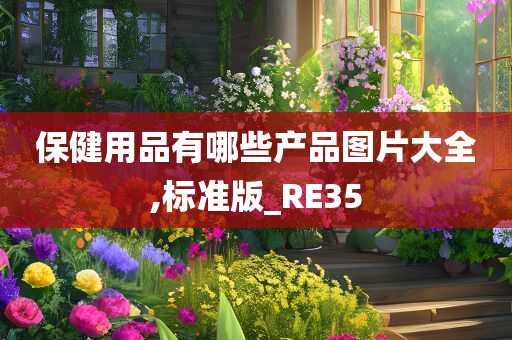 保健用品有哪些产品图片大全,标准版_RE35