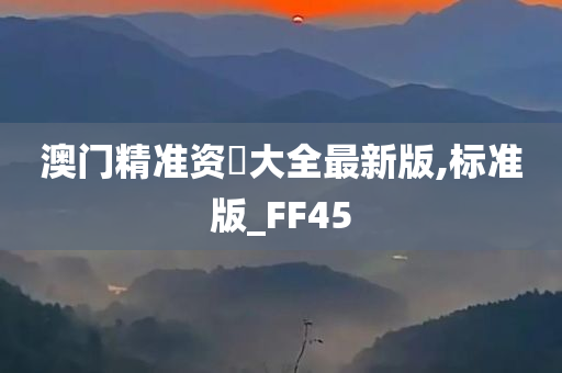 澳门精准资枓大全最新版,标准版_FF45