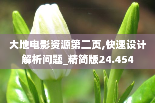 大地电影资源第二页,快速设计解析问题_精简版24.454