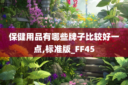 保健用品有哪些牌子比较好一点,标准版_FF45