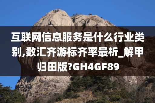 互联网信息服务是什么行业类别,数汇齐游标齐率最析_解甲归田版?GH4GF89