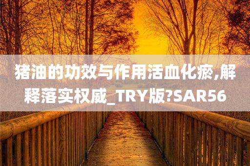 猪油的功效与作用活血化瘀,解释落实权威_TRY版?SAR56