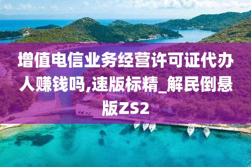 增值电信业务经营许可证代办人赚钱吗,速版标精_解民倒悬版ZS2