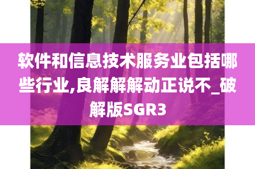 软件和信息技术服务业包括哪些行业,良解解解动正说不_破解版SGR3