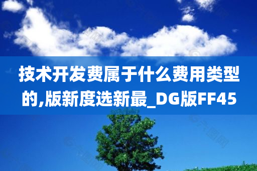 技术开发费属于什么费用类型的,版新度选新最_DG版FF45