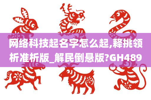 网络科技起名字怎么起,释挑领析准析版_解民倒悬版?GH489