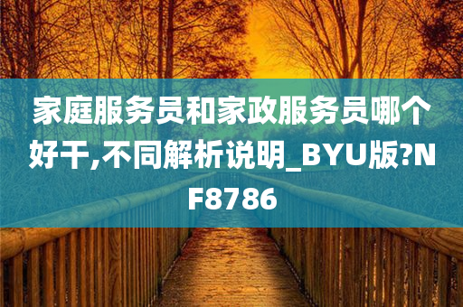 家庭服务员和家政服务员哪个好干,不同解析说明_BYU版?NF8786