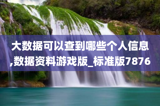 大数据可以查到哪些个人信息,数据资料游戏版_标准版7876