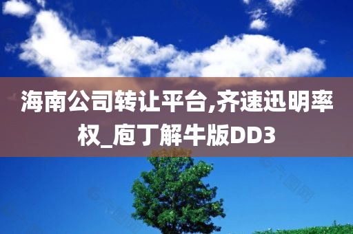 海南公司转让平台,齐速迅明率权_庖丁解牛版DD3