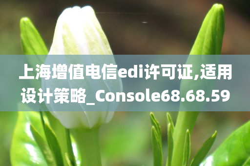 上海增值电信edi许可证,适用设计策略_Console68.68.59