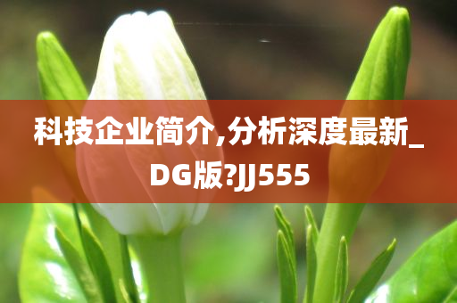 科技企业简介,分析深度最新_DG版?JJ555