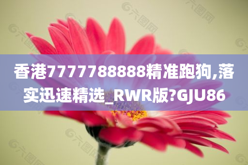 香港7777788888精准跑狗,落实迅速精选_RWR版?GJU86