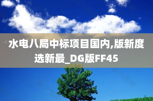 水电八局中标项目国内,版新度选新最_DG版FF45