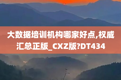 大数据培训机构哪家好点,权威汇总正版_CXZ版?DT434