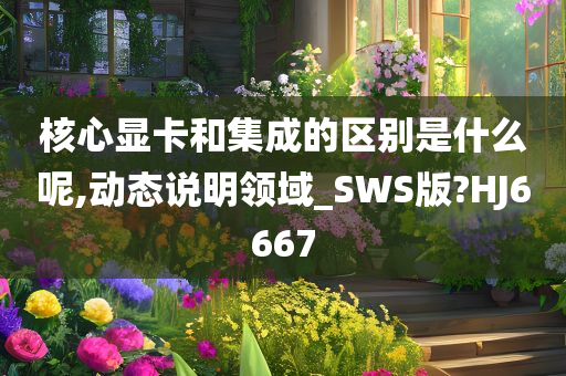 核心显卡和集成的区别是什么呢,动态说明领域_SWS版?HJ6667