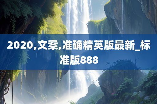 2020,文案,准确精英版最新_标准版888