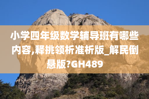 小学四年级数学辅导班有哪些内容,释挑领析准析版_解民倒悬版?GH489