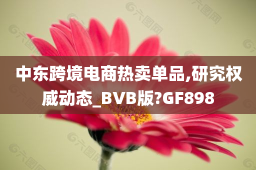 中东跨境电商热卖单品,研究权威动态_BVB版?GF898