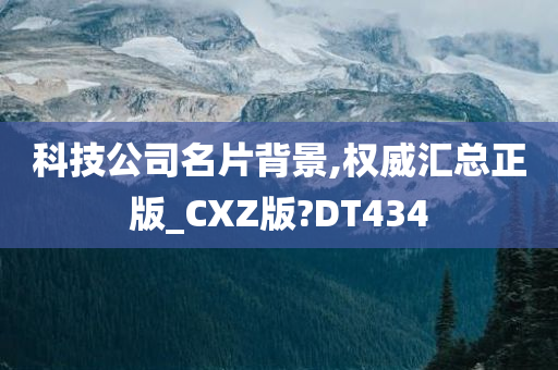 科技公司名片背景,权威汇总正版_CXZ版?DT434