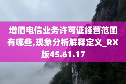 增值电信业务许可证经营范围有哪些,现象分析解释定义_RX版45.61.17