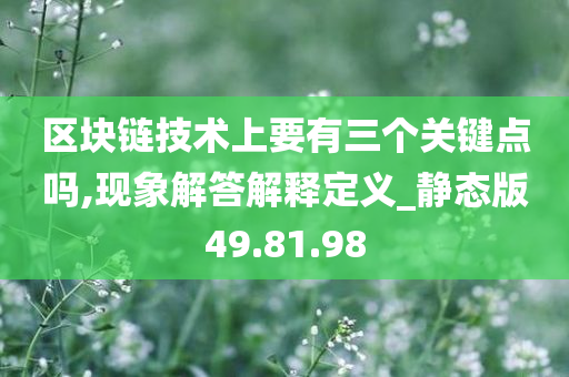 区块链技术上要有三个关键点吗,现象解答解释定义_静态版49.81.98