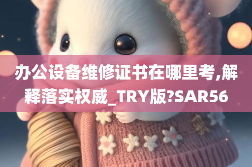 办公设备维修证书在哪里考,解释落实权威_TRY版?SAR56