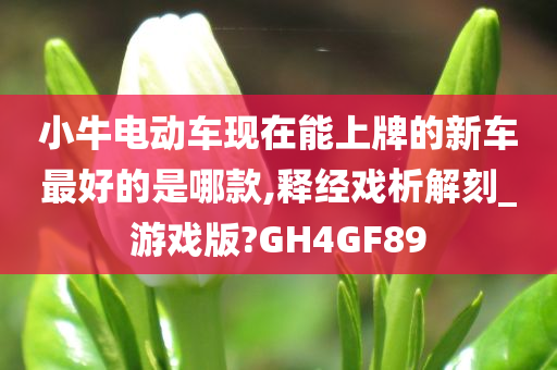 小牛电动车现在能上牌的新车最好的是哪款,释经戏析解刻_游戏版?GH4GF89