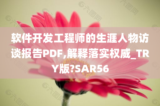 软件开发工程师的生涯人物访谈报告PDF,解释落实权威_TRY版?SAR56