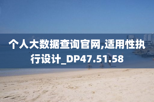 个人大数据查询官网,适用性执行设计_DP47.51.58