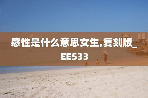 感性是什么意思女生,复刻版_EE533